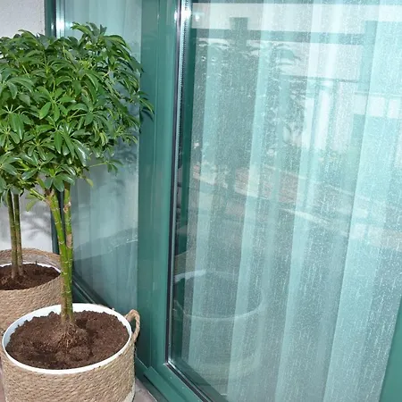 Apartamento Port *